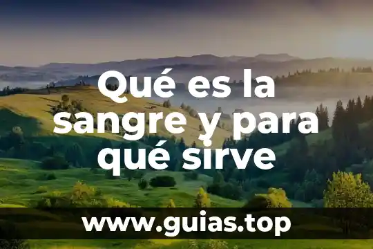 Que es ciprofloxacino 250 mg y para que sirve 6 Qué es la sangre y para qué sirve