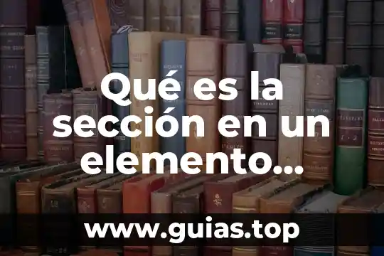 Que es la justicia como elemento natural 5 Qué es la sección en un elemento estructural