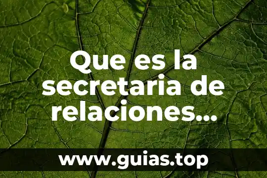 Que es la secretaria de relaciones exterio que secretaria