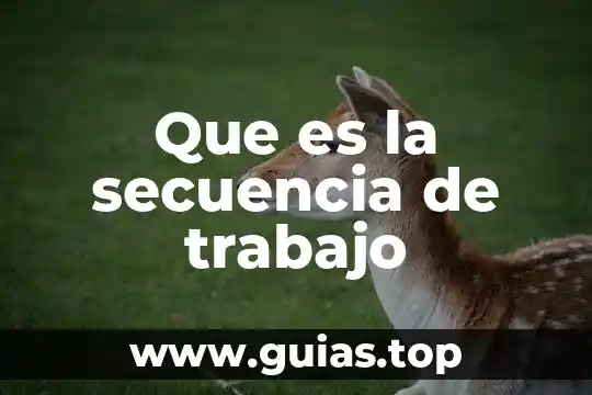 Que es el concepto de secuencia narrativa 3 Que es la secuencia de trabajo