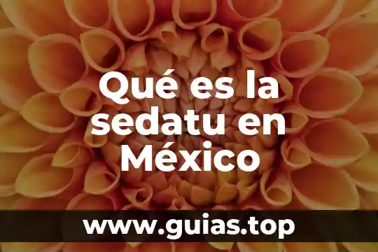 Que es el frutode la planta 5 Qué es la sedatu en México