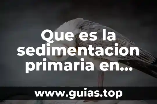 Que es una veda de agua de agua potable 5 Que es la sedimentacion primaria en tratamiento de agua potable