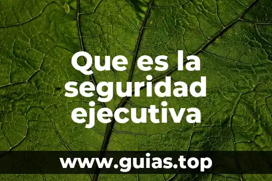 Que es el pictograma de seguridad 4 Que es la seguridad ejecutiva