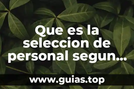 Que es una fuente de financiamiento definición de autores 7 Que es la seleccion de personal segun autores
