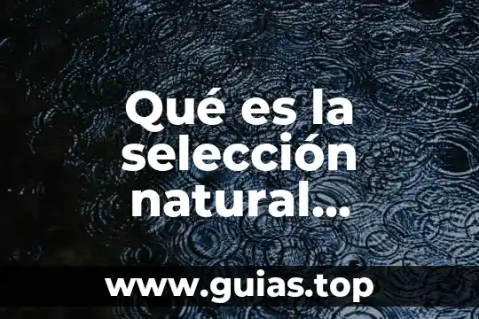 Que es seleccion animal 3 Qué es la selección natural estabilizadora