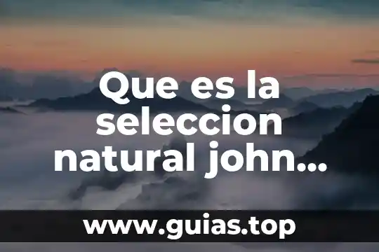 Qué es un número natural vtutor 6 Que es la seleccion natural john perry