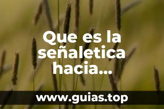Que es la violencia verbal hacia la mujer 5 Que es la señaletica hacia productos