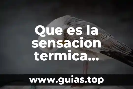 Que es la soberanía definición 7 Que es la sensacion termica definicion