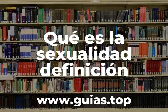 ¿Qué es diseño web y qué es desarrollo web? 8 Qué es la sexualidad definición