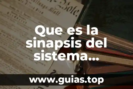 Que es el terminal nervioso 3 Que es la sinapsis del sistema nervioso