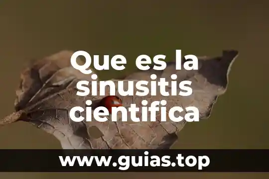 Corregibilidad científica que es 7 Que es la sinusitis cientifica