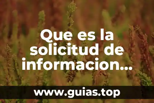 Solicitud información que es 3 Que es la solicitud de informacion registral