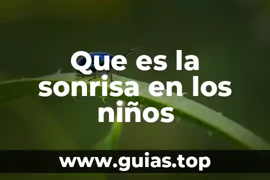 Que es la estrella de mar para niños de preescolar 3 Que es la sonrisa en los niños