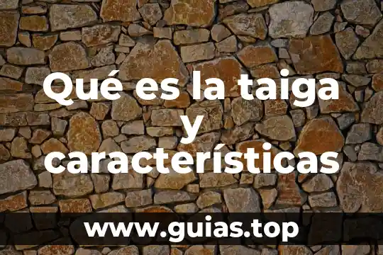 Que es un texto argumento artigacutivo y sus caracteristicas 8 Qu茅 es la taiga y caracter铆sticas