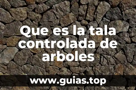 Animal que es muy habil para trepar a los arboles 4 Que es la tala controlada de arboles