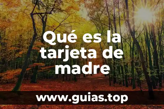 Definición que es un docente cita 3 Qué es la tarjeta de madre