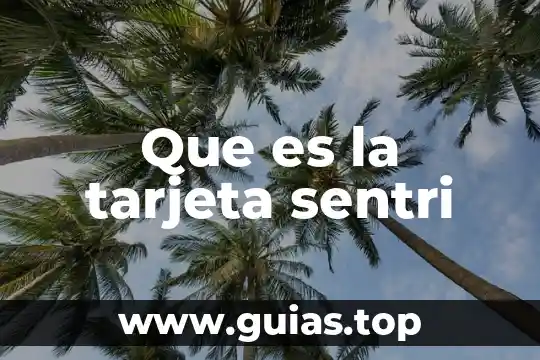 Que es la tarjeta de visita familiar oms 5 Que es la tarjeta sentri