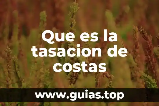 Que es la presentación y conclusión de un texto argumentativo 4 Que es la tasacion de costas