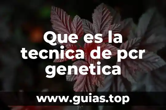 Qué es informática genética 3 Que es la tecnica de pcr genetica