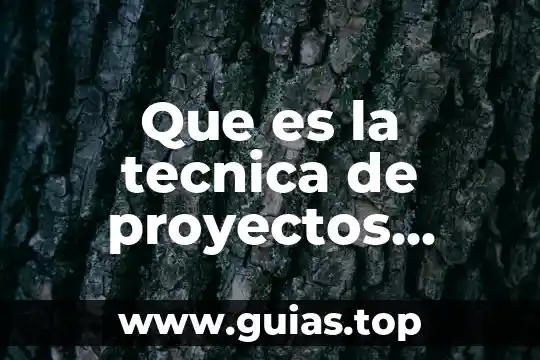 Cuidado del agua por medios tecnológicos que es 6 Que es la tecnica de proyectos tecnologicos