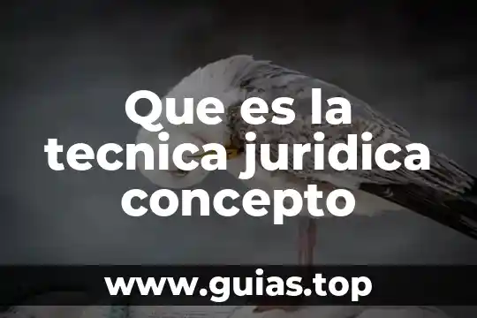 Que es tecnica de computacion 7 Que es la tecnica juridica concepto
