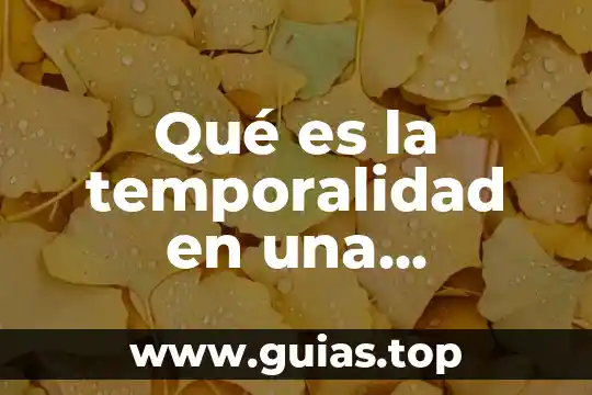 En una tesis que es limitacion es la investigacion 3 Qué es la temporalidad en una investigación