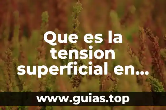 Que es la verdad fisica 7 Que es la tension superficial en fisica y ejemplos