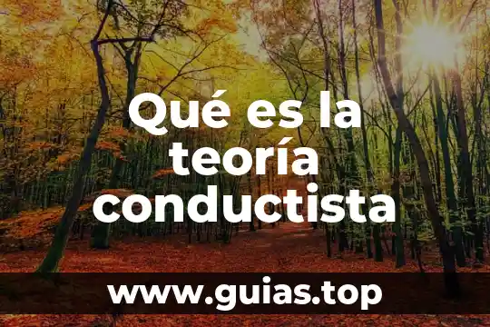 Teoria tradicional que es 5 Qué es la teoría conductista