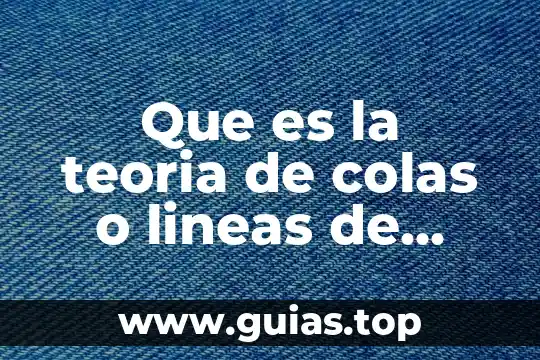 Qué es la teoría conductista 4 Que es la teoria de colas o lineas de espera