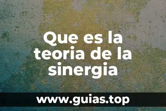 Que es ciencia metodo y teoría 6 Que es la teoria de la sinergia