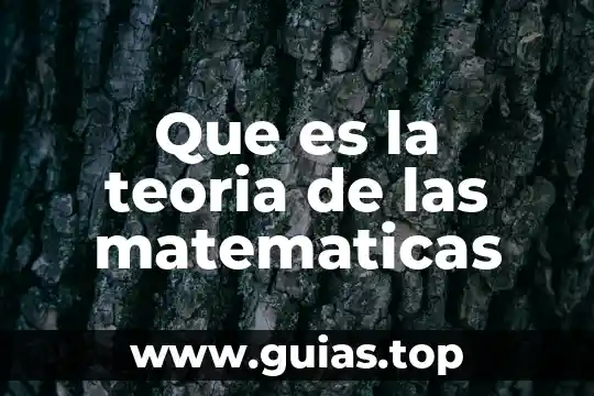 Que es ser análogos 6 Que es la teoria de las matematicas