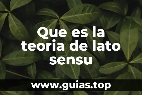 Qué es lo que dice Rousseau en su teoría 8 Que es la teoria de lato sensu