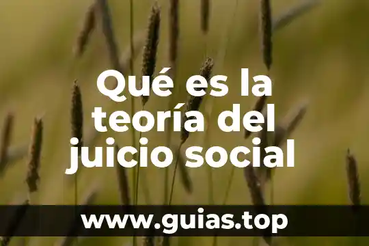 Que es teoria de kirchhoff 6 Qué es la teoría del juicio social