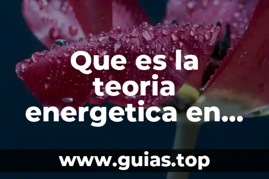 Por qué es importante la reforma energética de México 3 Que es la teoria energetica en politica