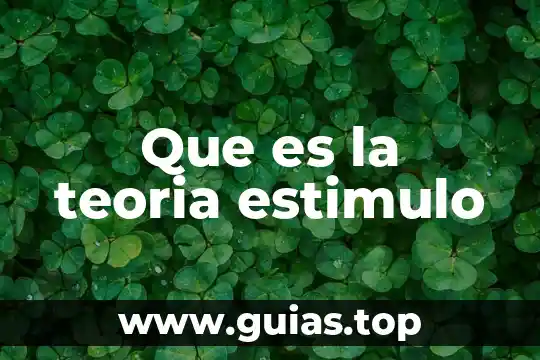 Qué es lo que dice Rousseau en su teoría 5 Que es la teoria estimulo