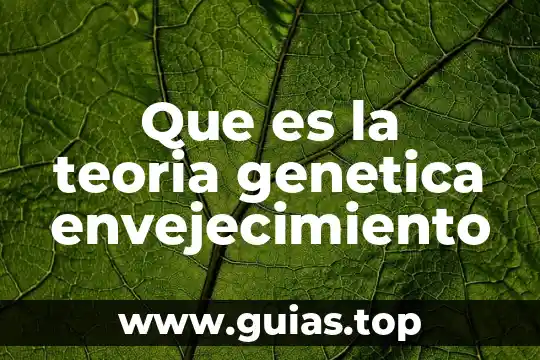 Característica genética que es 3 Que es la teoria genetica envejecimiento