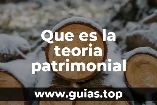 Qué es la teoría monismo nacionalista 7 Que es la teoria patrimonial