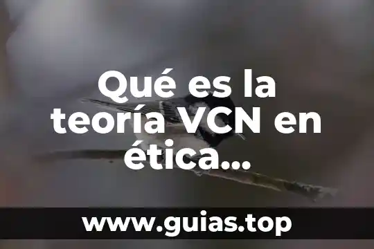 Qué es la ética psicología 6 Qué es la teoría VCN en ética ambiental
