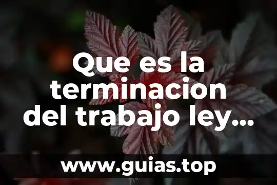 Ley pareto que es 6 Que es la terminacion del trabajo ley federal del trabajo