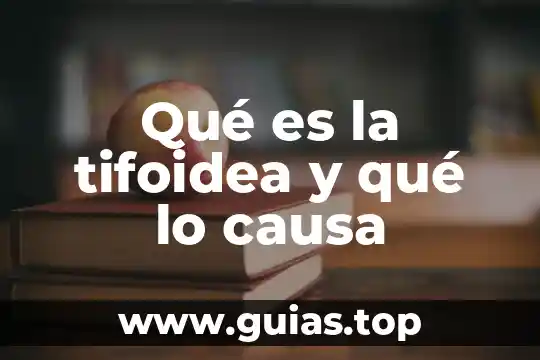 Infecion gastrointestinal que es y en que la causa 5 Qué es la tifoidea y qué lo causa