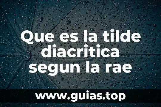 Que es un concepto segun la rae 5 Que es la tilde diacritica segun la rae