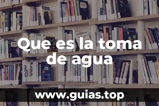 Qué es error e irregularidad según las NIAS 3 Que es la toma de agua