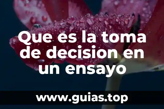 Número de toma que es 7 Que es la toma de decision en un ensayo