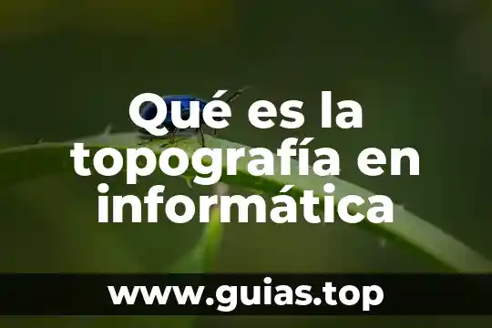Que es clip software topografia 6 Qué es la topografía en informática