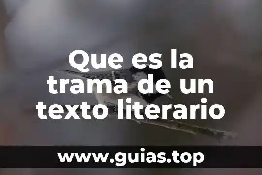 Qué es el lenguaje literario y su figura 3 Que es la trama de un texto literario