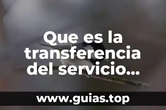 Qué es déficit público definición 4 Que es la transferencia del servicio publico municipal