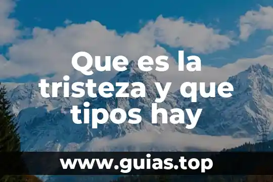 Que es un refrigerante que tipos hay y que contamina 6 Que es la tristeza y que tipos hay