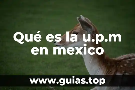Que es un chiflon en mexico 3 Qué es la u.p.m en mexico