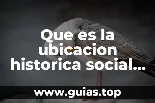 Que es la ubicación fisica de la mercancia 3 Que es la ubicacion historica social y espacial