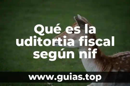 Qué es la inversión en planta según las NIF 8 Qué es la uditortia fiscal según nif